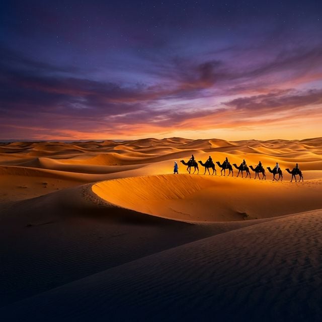 Sahara desert camels in Ouarzazate