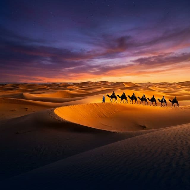 Sahara desert camels in Ouarzazate